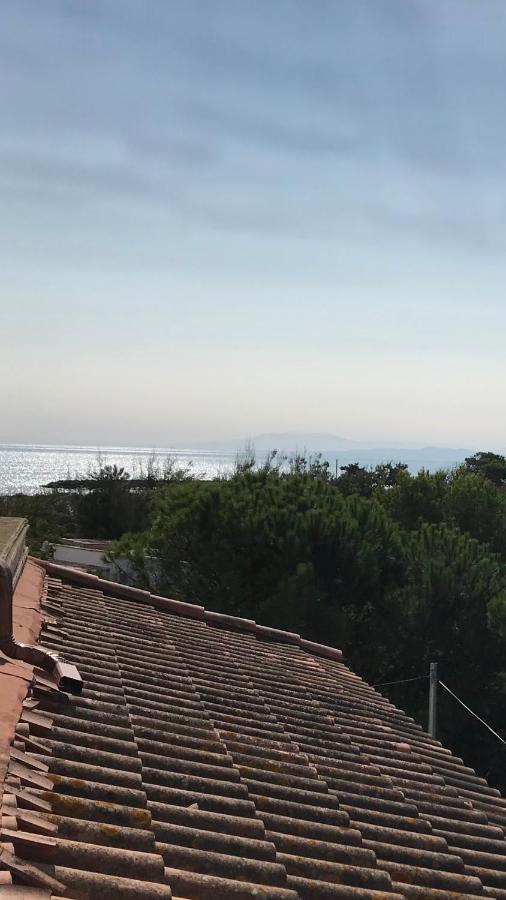 Vias Plage : Residence Securisee Bord De Mer Zewnętrze zdjęcie
